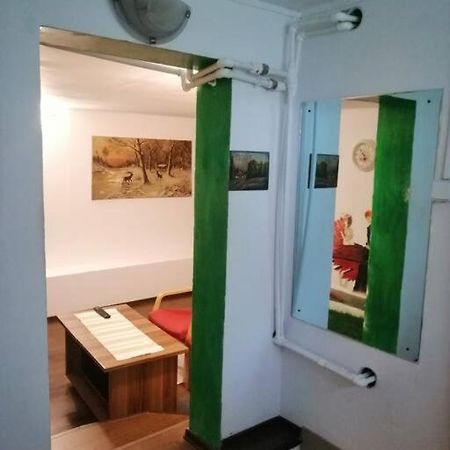 ティミショアラMoss'S Caveアパートメント エクステリア 写真